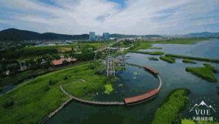 ΢ňDƬ_20200731095919.gif